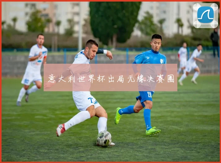意大利世界杯出局无缘决赛圈