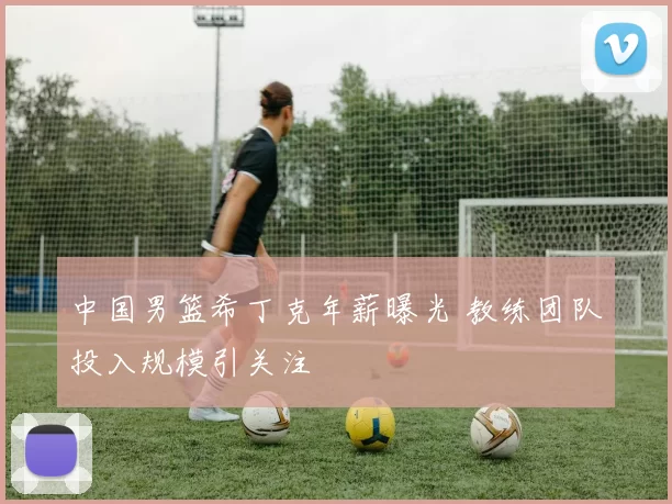 中国男篮希丁克年薪曝光 教练团队投入规模引关注