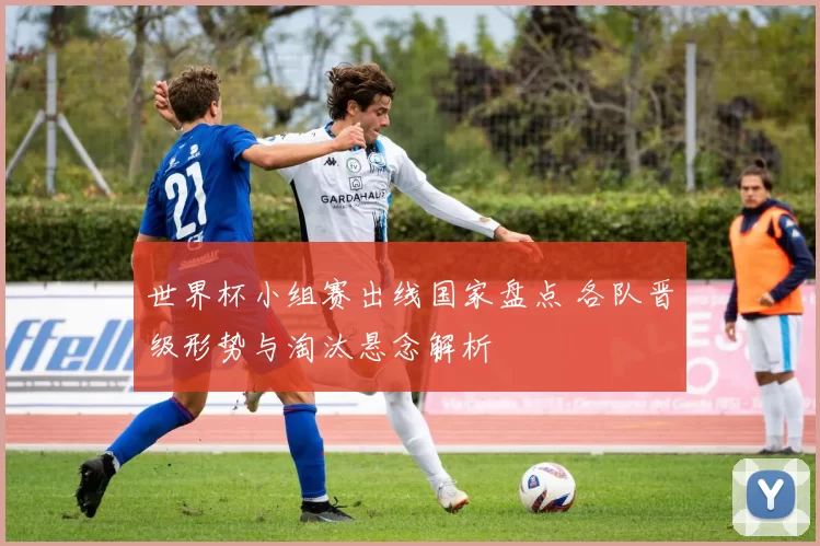 世界杯小组赛出线国家盘点 各队晋级形势与淘汰悬念解析